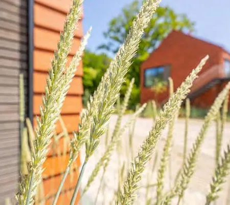 De Ole School Ferienapartments Medium-apartment 26 , Huus Blomen Apartmán